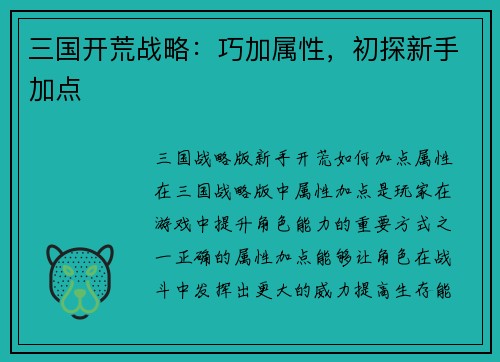 三国开荒战略：巧加属性，初探新手加点